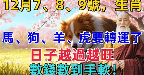 7月8號生日|7月8日